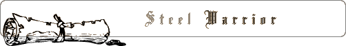 Steel Warrior Bugtracker